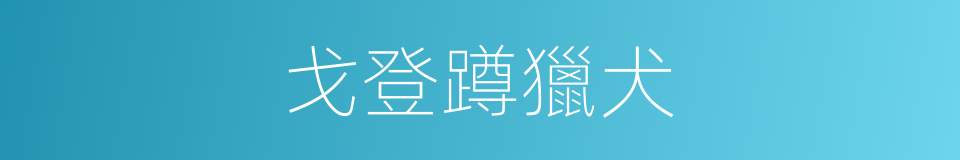 戈登蹲獵犬的同義詞