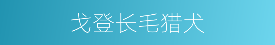 戈登长毛猎犬的同义词