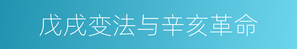 戊戌变法与辛亥革命的同义词