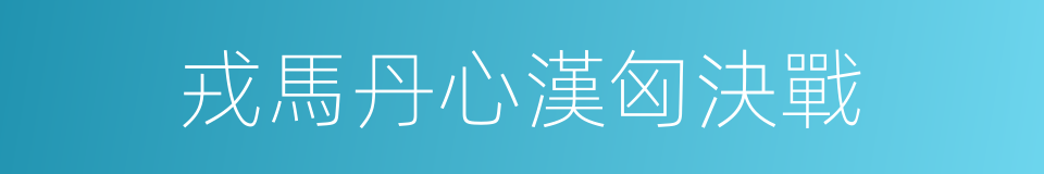 戎馬丹心漢匈決戰的同義詞