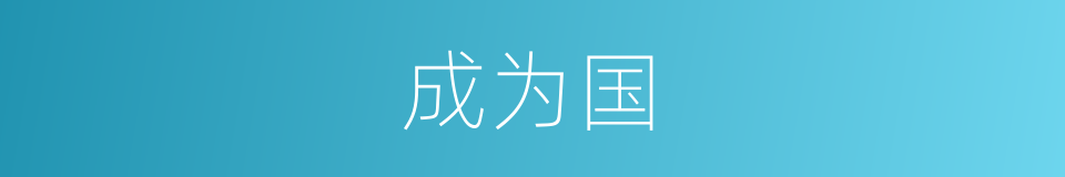 成为国的同义词