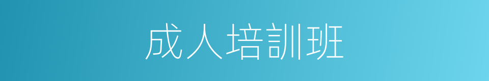 成人培訓班的同義詞