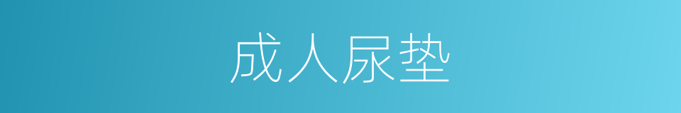 成人尿垫的同义词