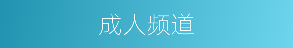 成人频道的同义词