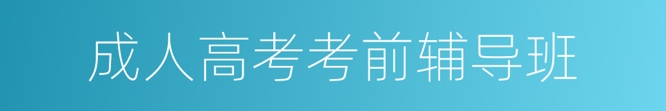成人高考考前辅导班的同义词