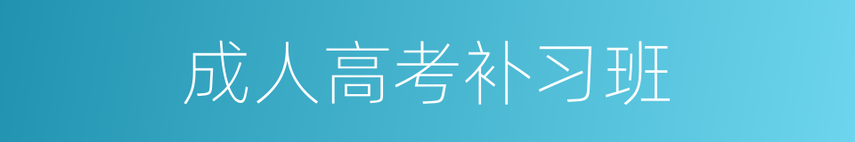 成人高考补习班的同义词