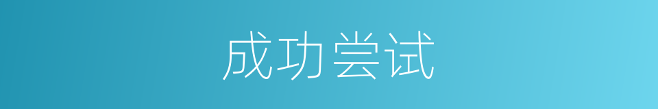 成功尝试的同义词