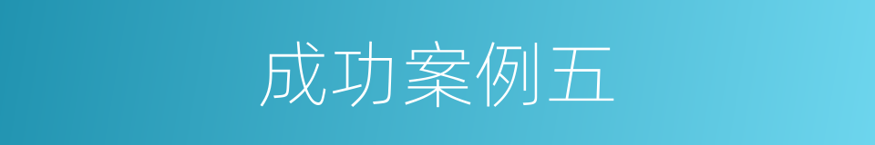 成功案例五的同义词