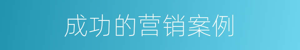 成功的营销案例的同义词