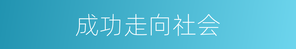成功走向社会的同义词