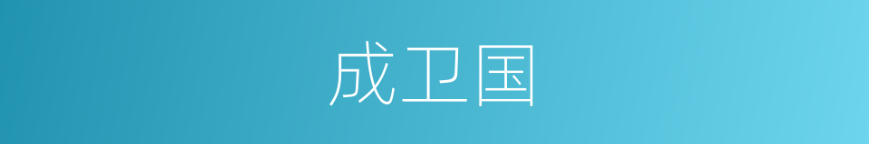 成卫国的同义词