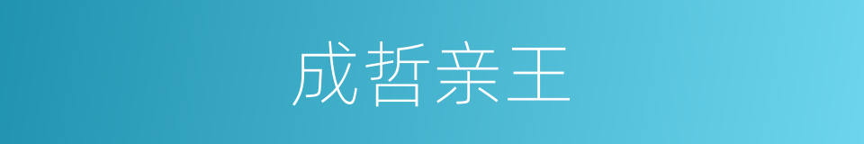成哲亲王的同义词