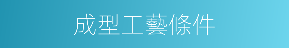成型工藝條件的同義詞
