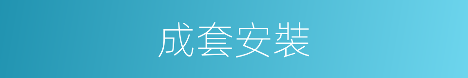 成套安裝的同義詞