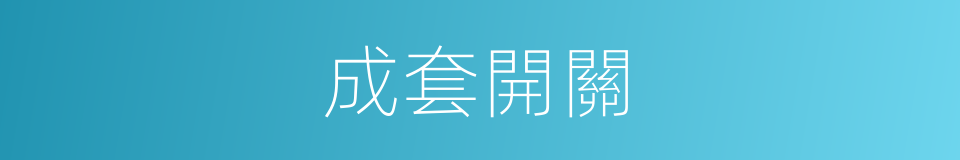 成套開關的同義詞