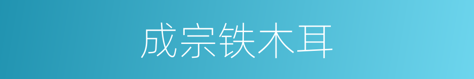 成宗铁木耳的同义词