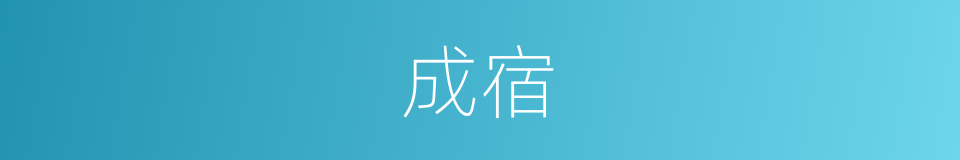 成宿的意思