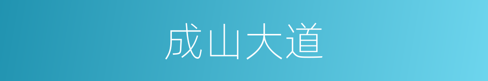 成山大道的同义词
