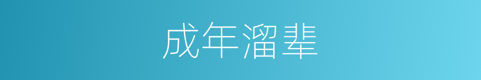 成年溜辈的意思