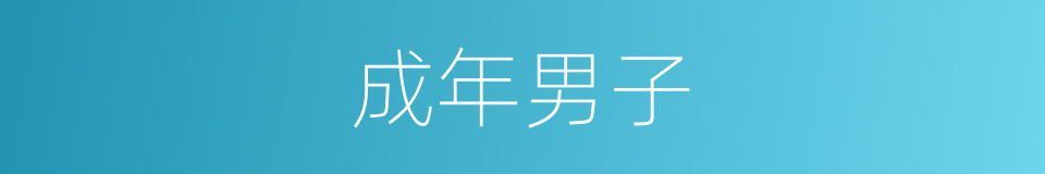 成年男子的同义词