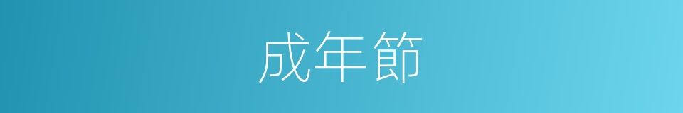 成年節的同義詞
