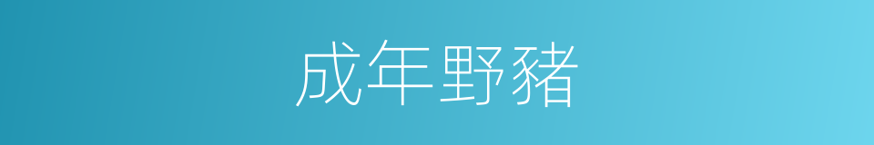 成年野豬的同義詞