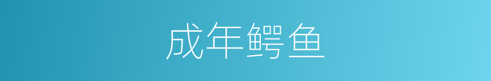 成年鳄鱼的同义词