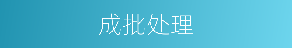 成批处理的意思