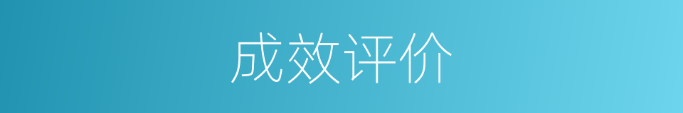 成效评价的同义词