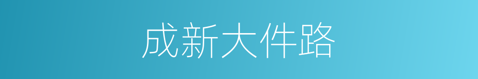 成新大件路的同义词