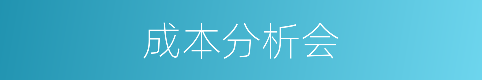 成本分析会的同义词