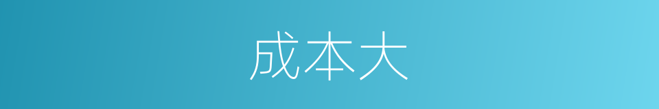 成本大的同义词