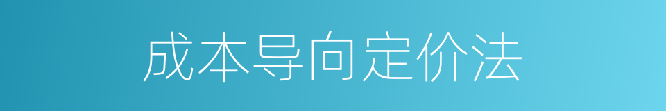 成本导向定价法的同义词