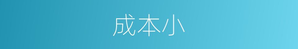 成本小的同义词