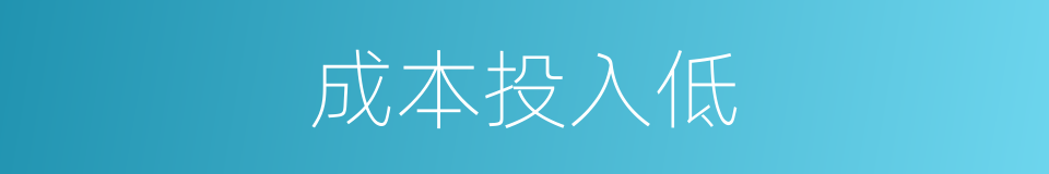 成本投入低的同义词