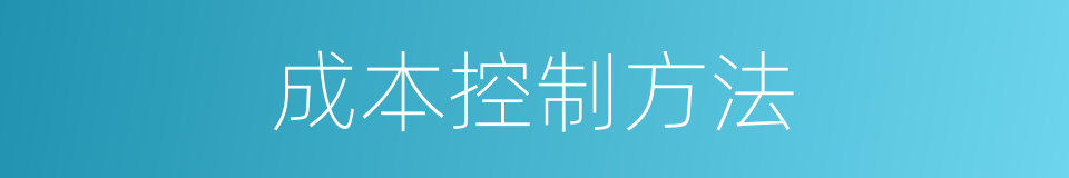 成本控制方法的同义词