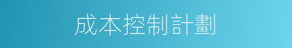成本控制計劃的同義詞