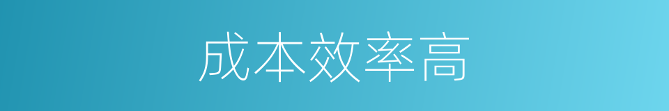 成本效率高的同义词