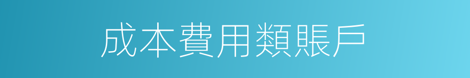 成本費用類賬戶的同義詞