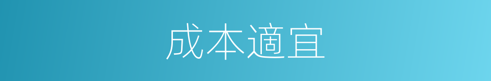 成本適宜的同義詞