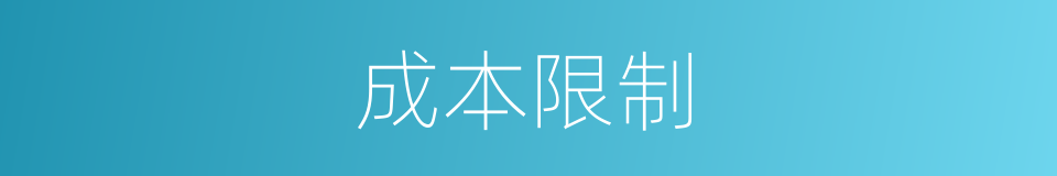 成本限制的同义词