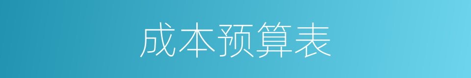 成本预算表的同义词