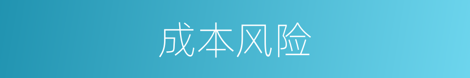 成本风险的同义词
