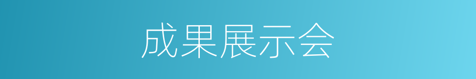 成果展示会的同义词