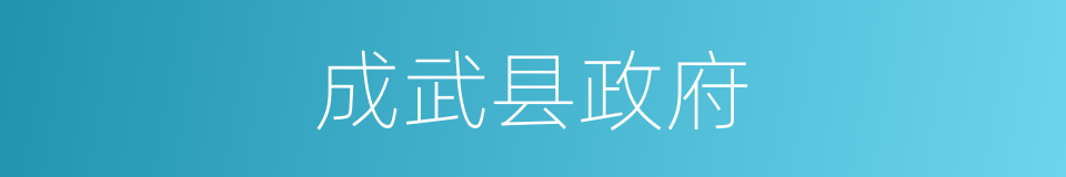 成武县政府的同义词