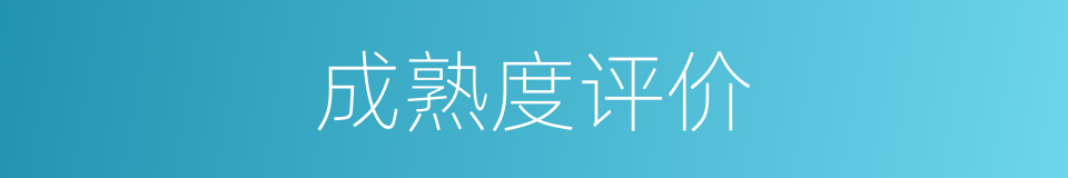 成熟度评价的同义词