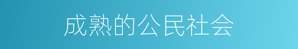 成熟的公民社会的同义词