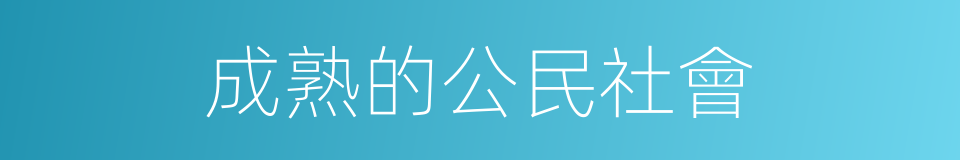 成熟的公民社會的同義詞