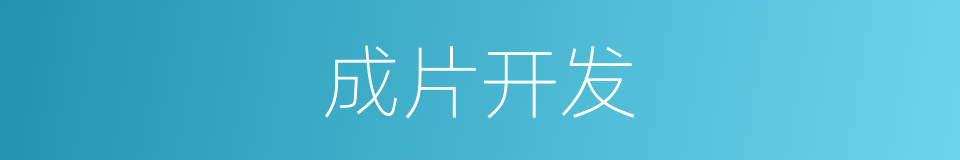 成片开发的同义词