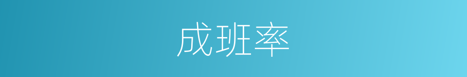 成班率的同义词